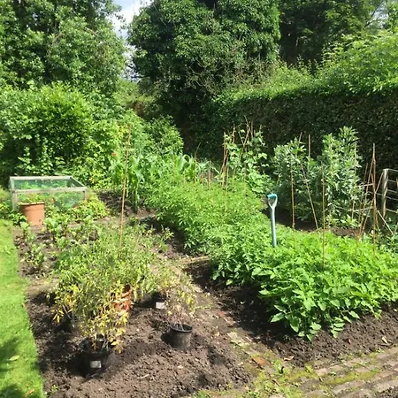 Lägenhet The Orchard In Alne