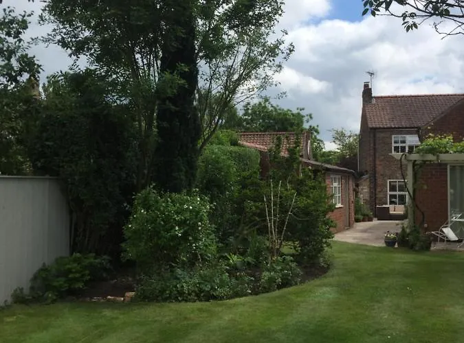 The Orchard In * Alne