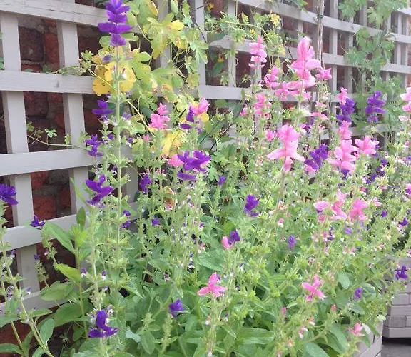 Appartamento The Orchard In *